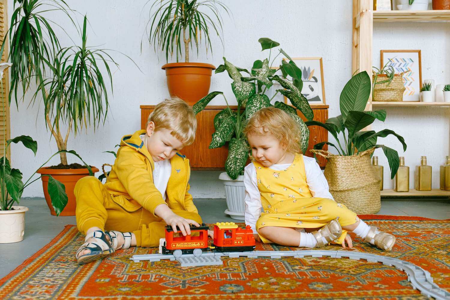 Teppichreinigung_Staub_Schmutz_Abholung_Rückgabe_Kosten_Termin_Online_Saube_Prozess_Herne